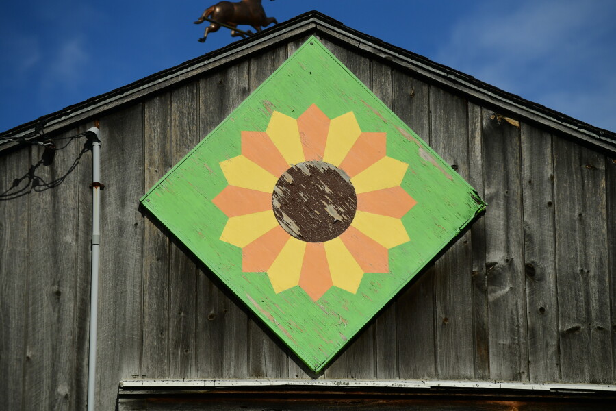 LeRoy Barn Quilt Trail