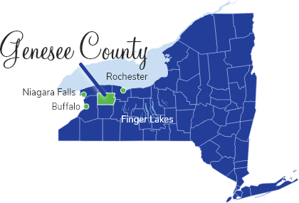 travel bans in genesee county ny